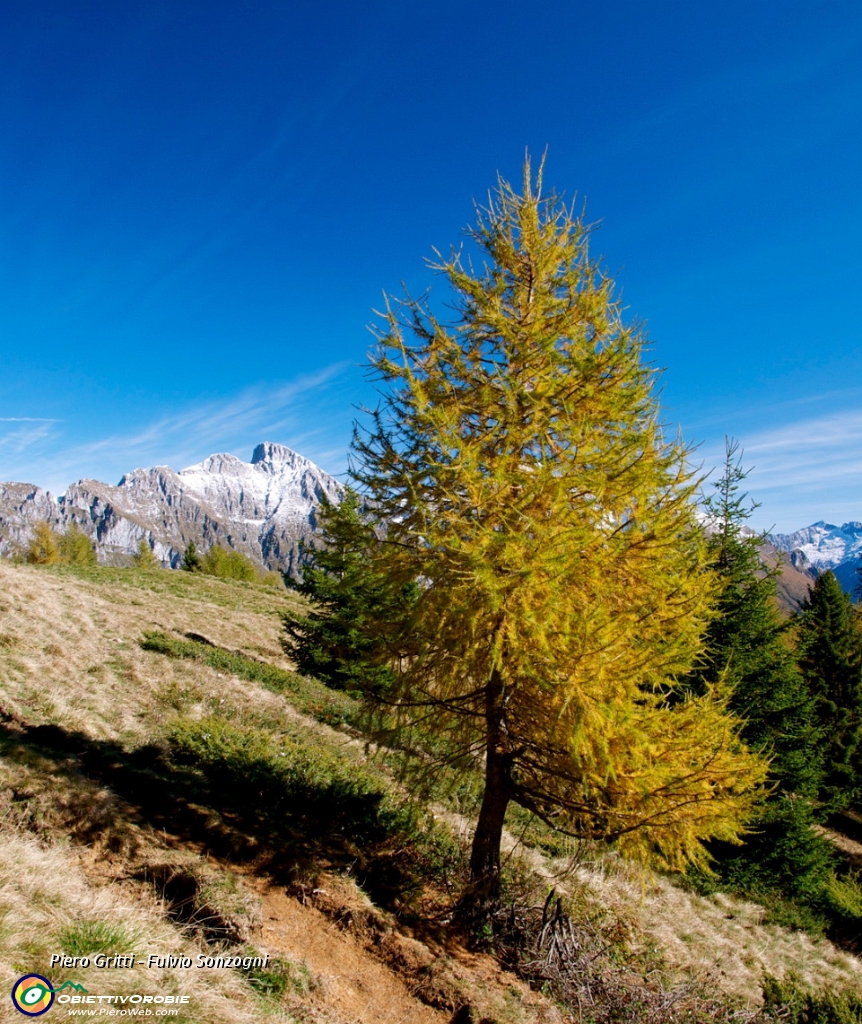 17 Appare la Bagozza - foto Fulvio.jpg